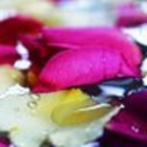 Meet your Posher, Mai